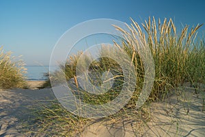 Sand dune with view to ocean