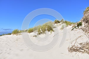 Sand dune with white sand, grass and blue sky. Rias Baixas, Galicia, Spain.