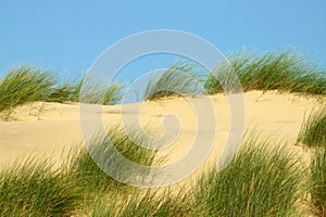 Sand dunes 1