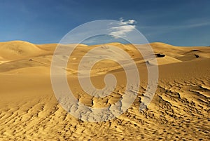 Sand Dunes photo