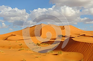 Sand dunes