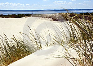 Sand Dunes