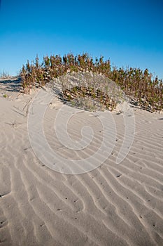 Sand Dunes