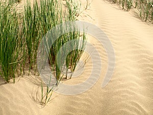 Sand dunes