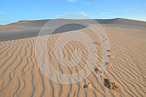 Sand Dunes