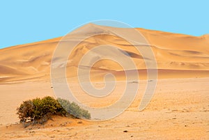 Sand dunes