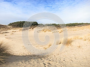 Sand dunes