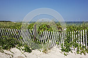 Sand Dunes