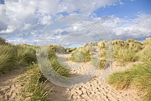 Sabbia duna 