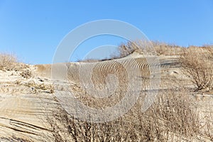 Sand dunes against the blue sky. Rest and relaxation on the seashore. Space for text