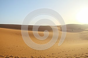 Sand dunes against clear blue sky background in Sahara desert.