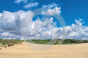 Sand dunes along the shore on the outer banks. Sintra , Portugal