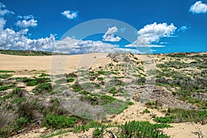 Sand dunes along the shore on the outer banks. Sintra , Portugal