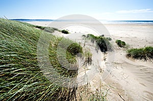 Sand dunes along the shoreline photo