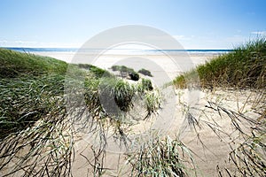 Sand dunes along the shoreline photo