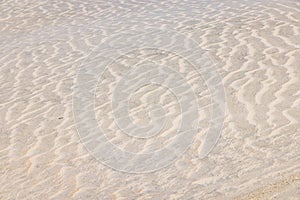 Sand dunes along the western coast of the Baja peninsula