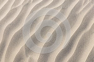 Sand dunes along the western coast of the Baja peninsula