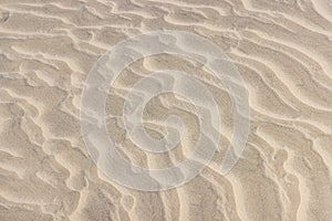 Sand dunes along the western coast of the Baja peninsula
