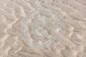 Sand dunes along the western coast of the Baja peninsula