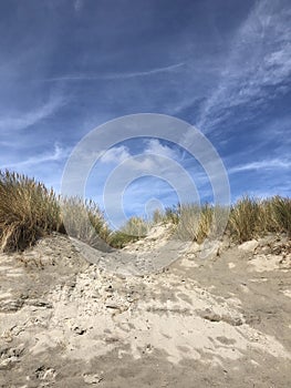 Sand dunes on Ameland island