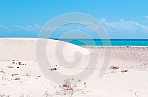 Sand dunes in Aomak beach protected area, Socotra island, Yemen