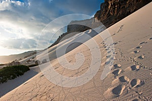 Sand dunes of Archer, Socotra island, Yemen photo