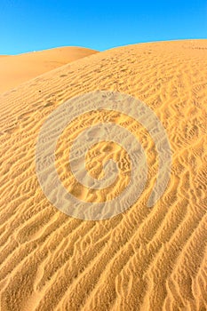 Sand dunes around the Concon coastline