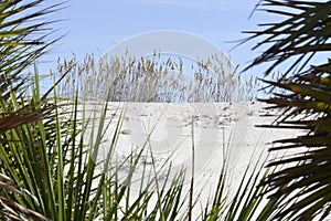 Sand dunes at the Atlantic Ocean