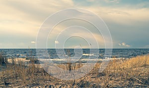 Sand dunes of the Baltic Sea on a sunny day