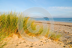 Sand Dunes and Beach