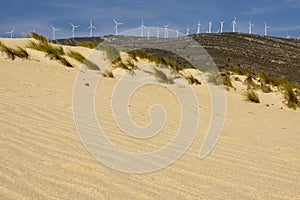 Sand dunes on the beach against the background of mountains. Tar