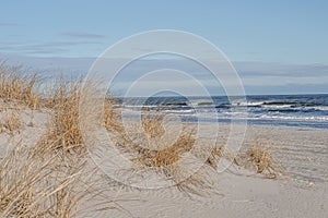 Sand Dunes and Beach, Avalon, New Jersey