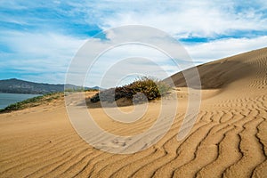 Sand Dunes on the Beach with Beautiful Cloudy Blue Sky in Background