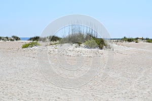 Sand dunes at beach, Florida