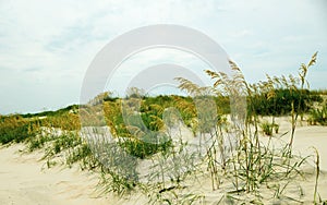 Sand dunes at a beach with grass and cloudy skies