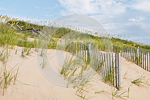 Sand Dunes, Beach Grass and Sand Fences at Nags Head