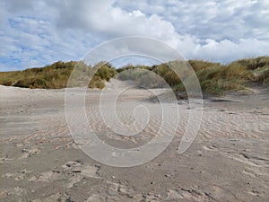 Sand dunes at the beach in Koksijde