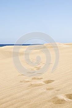 Sand dunes on the beach in Maspalomas.