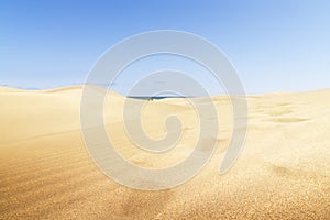 Sand dunes on the beach in Maspalomas.