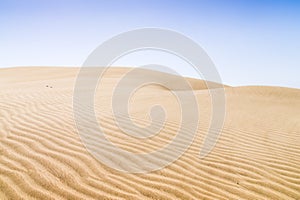 Sand dunes on the beach in Maspalomas.