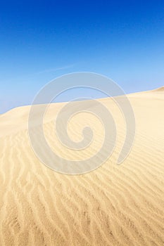 Sand dunes on the beach in Maspalomas.