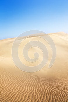 Sand dunes on the beach in Maspalomas.