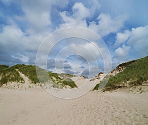 Sand dunes of the beach Nymindegab Strand in Denmark under vivid blue sky and white clouds