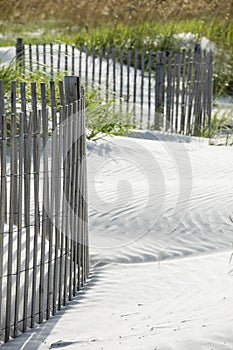 Sand dunes on a beach with sand fence