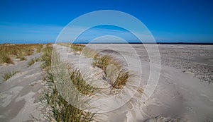 Sand dunes and beach at Skagen in northern Jutland Denmark