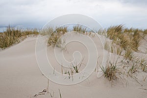 Sand dunes with beachgrass
