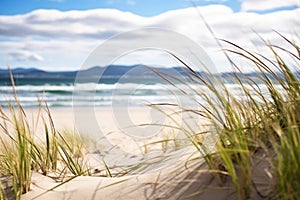 sand dunes with beachgrass and the sea in the background