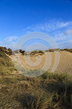 Sand dunes in Blankenberge, Belgium