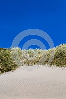 Sand Dunes and Blue Sky