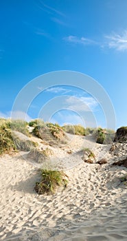 Sand dunes and blue sky, Camber Sands photo